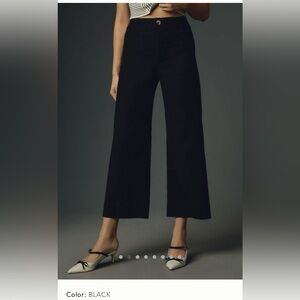 NWT Colette cropped wide leg pant by Maeve